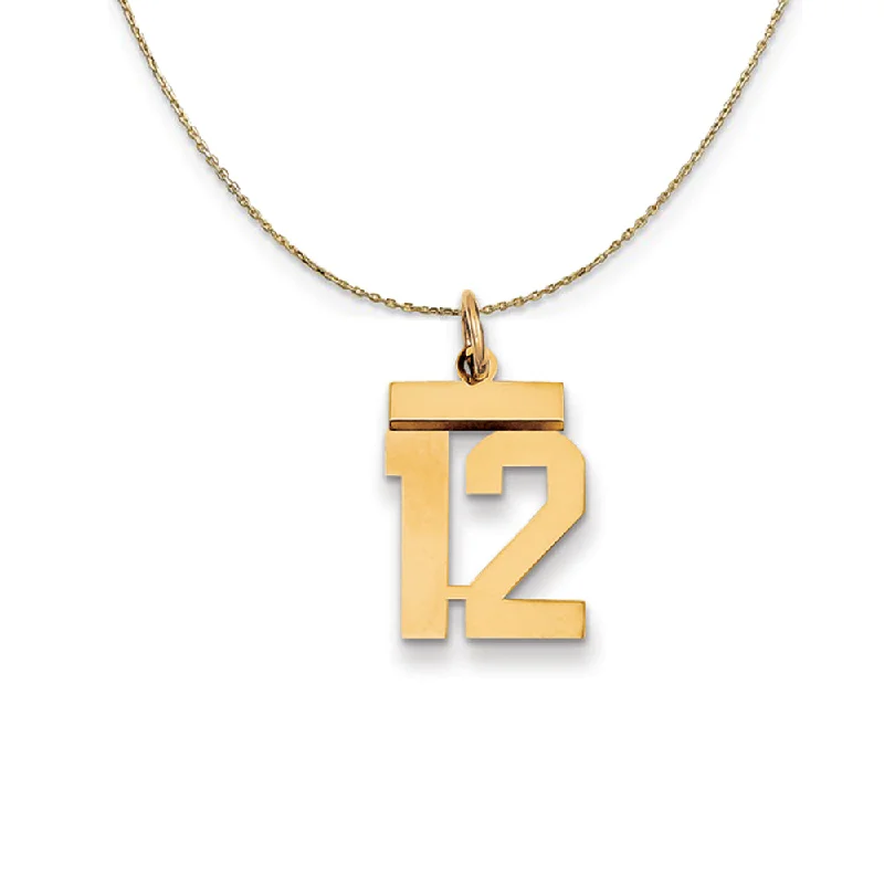 Fine-etched necklace-14k Yellow Gold, Athletic, Sm Polished Number 12 Necklace