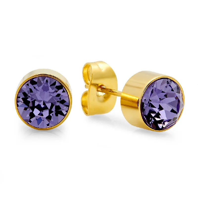 Stained enamel earrings-18k Gold Plated Stainless Steel Birthstone (February) Earring Studs